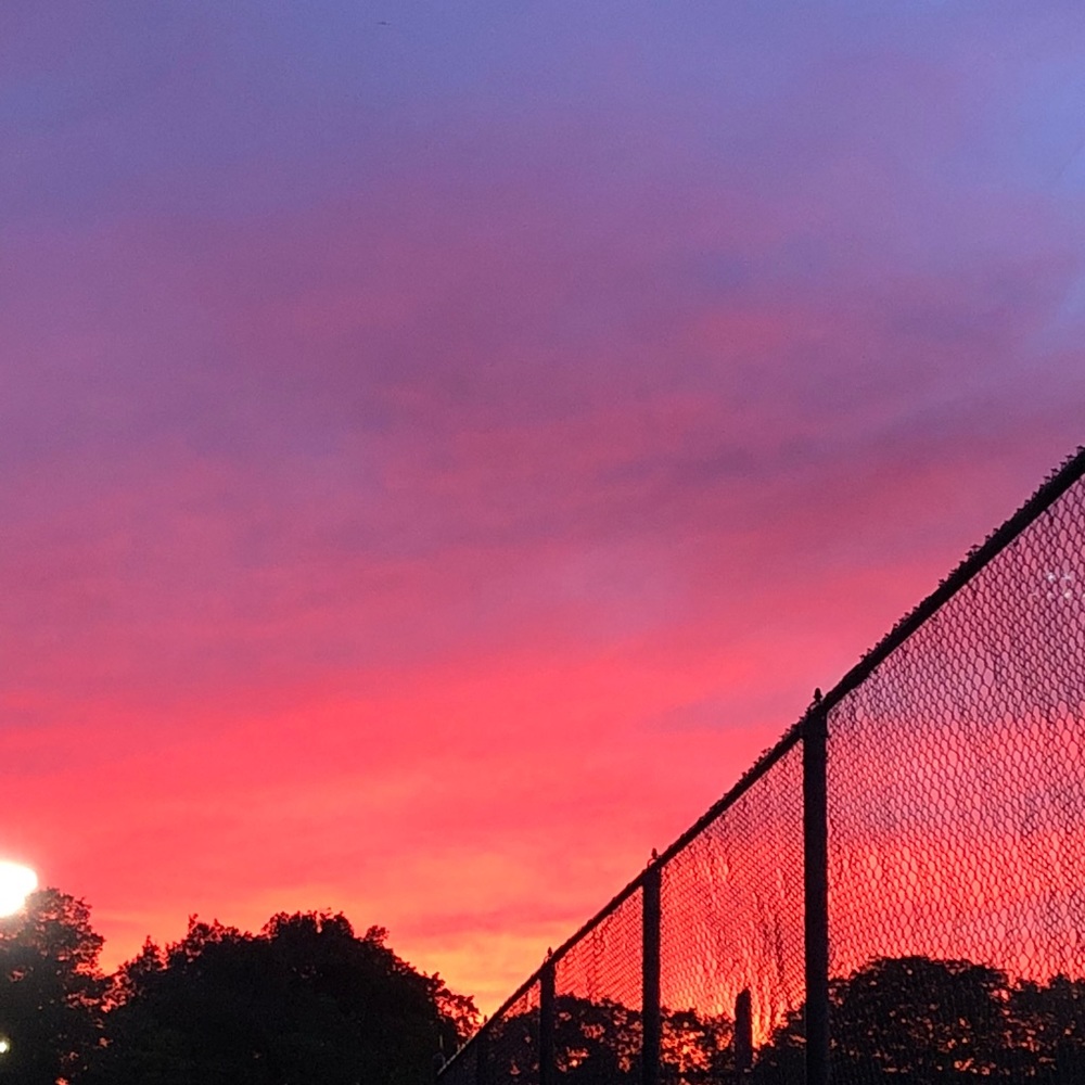 Meet your Posher, Remi